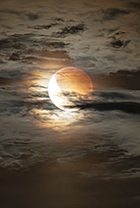 lettre Guillaume Cannat